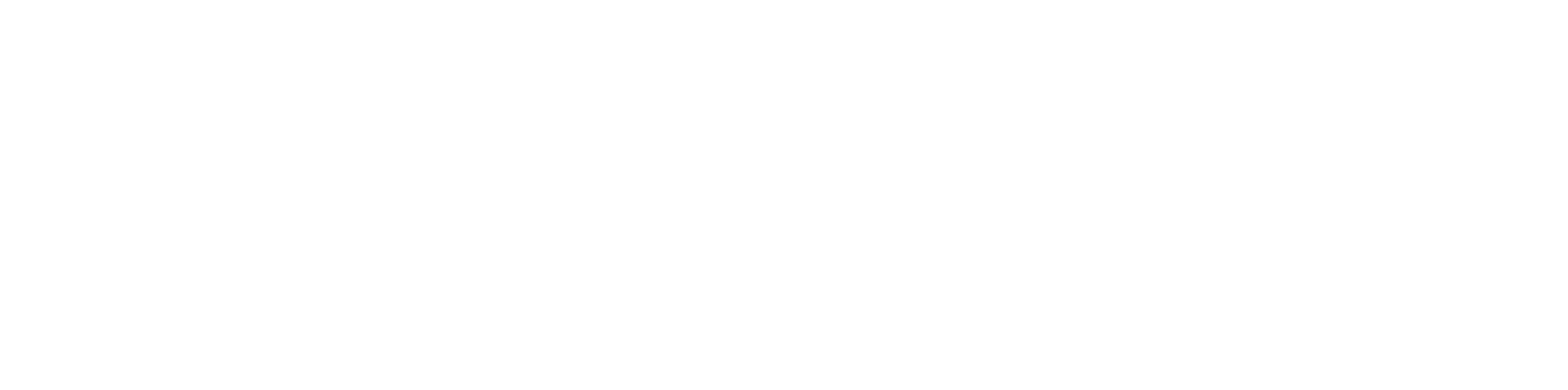 Hudson Ferris